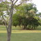 Weesgerus Resort