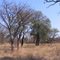 Klein Paradys Bushveld