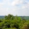 Rural Monroe County