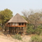 The Treehouse