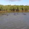 Hippo pod