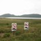 Lake near CAPE VIDAL