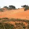 Red dunes