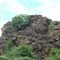 Tree Growing from Rocks