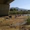 Olifants River, June 2012
