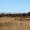 Old train bridge over the Vaal River