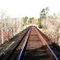Margaret, AL Train Trellis