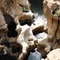 Burke's Luck Potholes