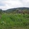 Coetzer Waterhole