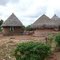 Makuleke Village, beautiful traditional thatched huts for peaceful rural life