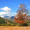 Du Toits kloof