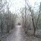 Sokol Park Trail