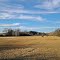 Hay Field