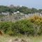 Some Buck at Seaview Game Park