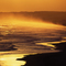 Golden Sea