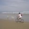 The last remaining legal method of driving on the beach !