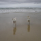 Salty Sea Dogs