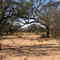 Molopo veld in winter after drought