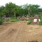 Zebra's at Mokopane Conservancy entrance