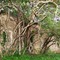 Stone House @ Blaauwbank