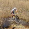 River crossing on www.welgedachtestate.co.za