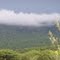 Misty Mountain
