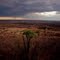 Kunkuru airstrip, view from "sunset blvd"