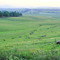 Close to Himeville