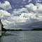The Vaal River on the Gauteng shore. ©PhilRHamar