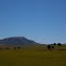 Howick
