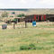 Painted houses 1971