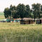 Landscape with pdecorated houses 1971