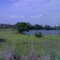 Near Senekal