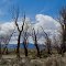 Owl Springs in the Great Salt Lake Desert area