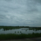 Flood Waters From The White River