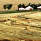 An African Farm