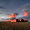 Walkerville Sunset