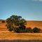 walkerville South Africa