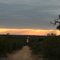 Sunset Kruger NP, SA