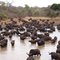 Kwa-Mbili lodge Thornybush Game Reserve, Limpopo, South Africa, Maruleng, Zuid-Afrika