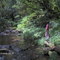 Stutterheim Forest 2005