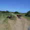 On the way to Jacaranda Wreck