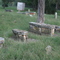 Reese Cemetery