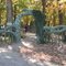 Terra Studios, Durham, AR (Blue bird place)