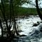 Lake Sequoyah Overflow