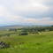 Underberg