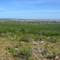 Uitenhage