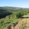 Groot Winterhoek Foothills