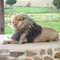 sud africa