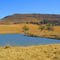 Moreson Game Reserve and Lion Ranch